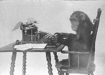 Ah yes, monkey business!
